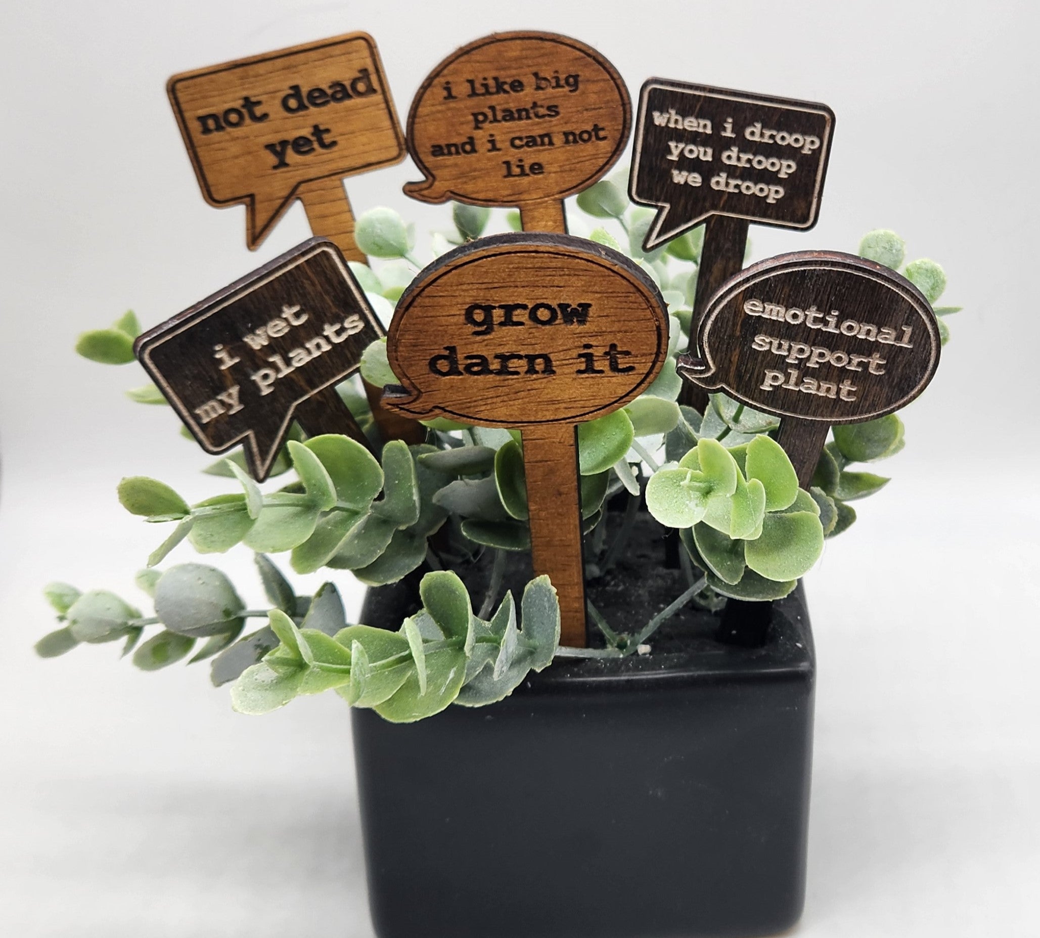 Personalised Name Indoor Plant Pot, Engraved to Order, Add a Name and  Message on a Gorgeous Pot, Perfect for Birthdays or Special Occasions - Etsy